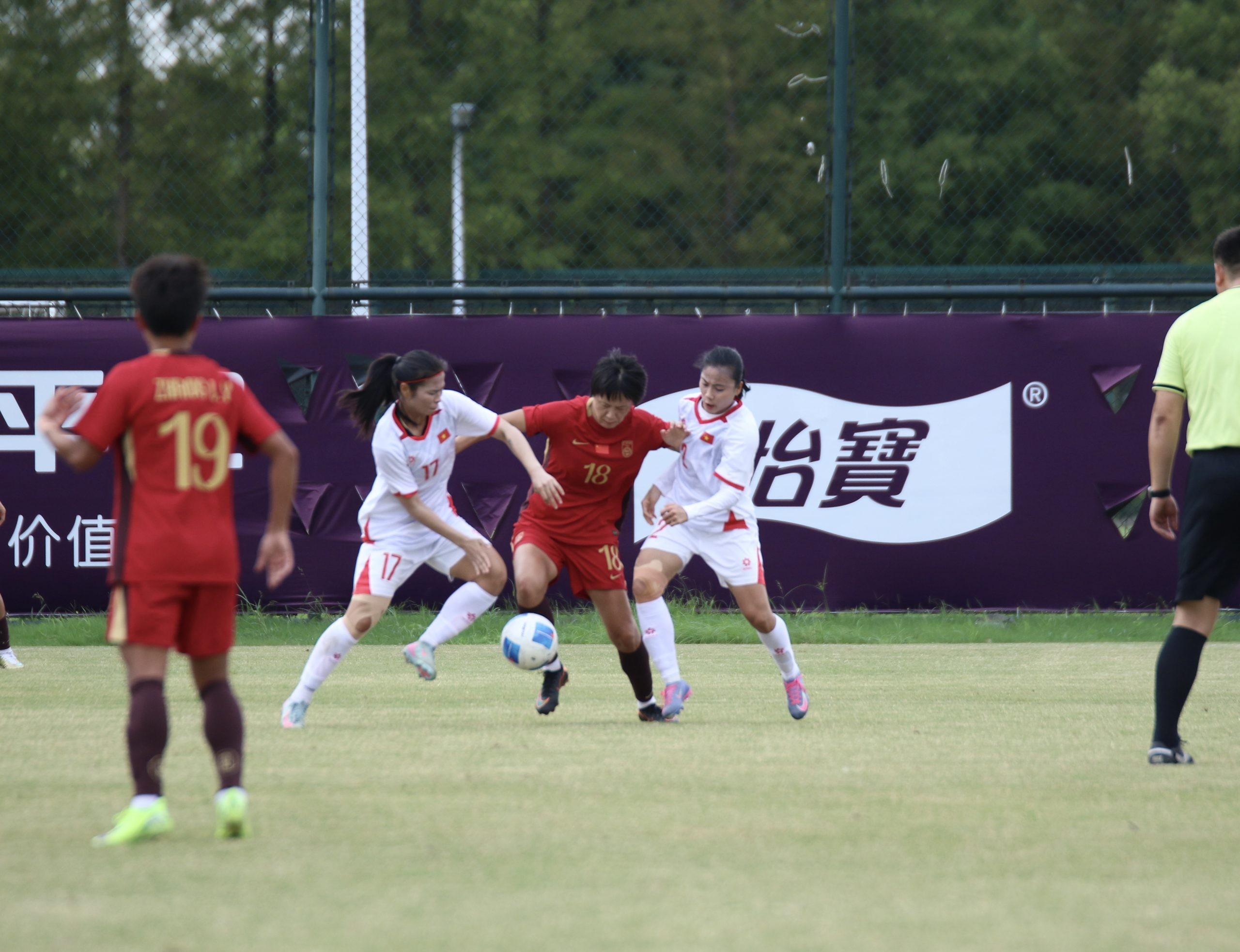 az4a2460-scaled-1789010976.jpeg