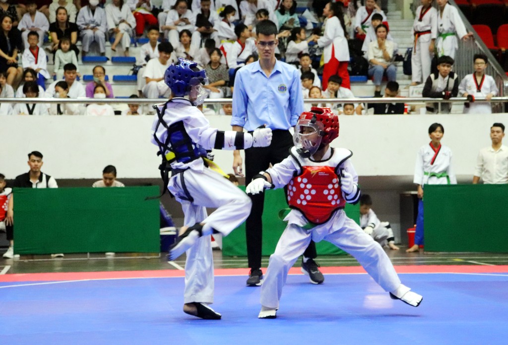 teakwondo-1667638141.jpg