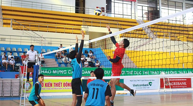 dt-1672459227.jpg
