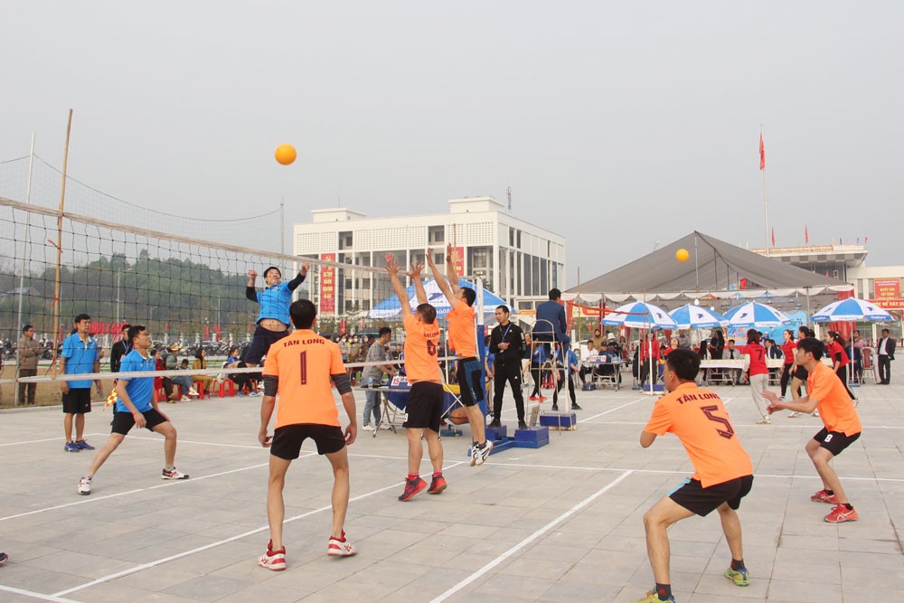 dong-hy-1675388296.jpg