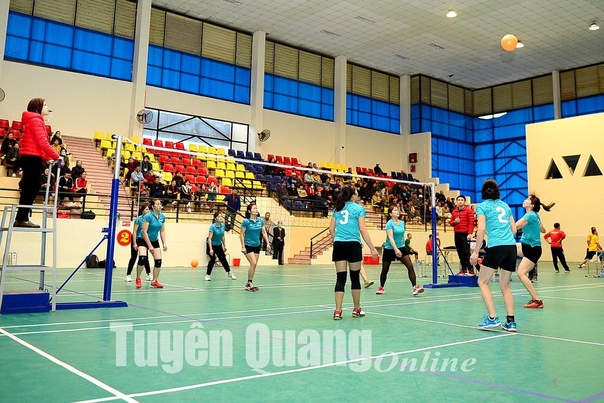 tuyen-quag-1676603117.jpg