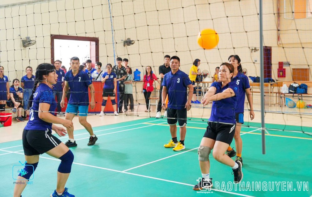 thaiq-nguyen-1682220494.jpg