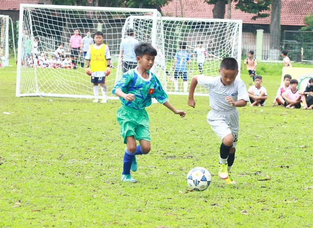 dthap-1686667175.jpg