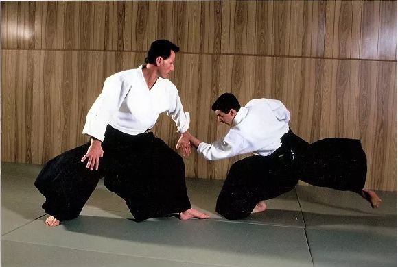 aikido-1690101164.jpg