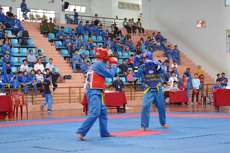 vovinam-1694485993.jpg