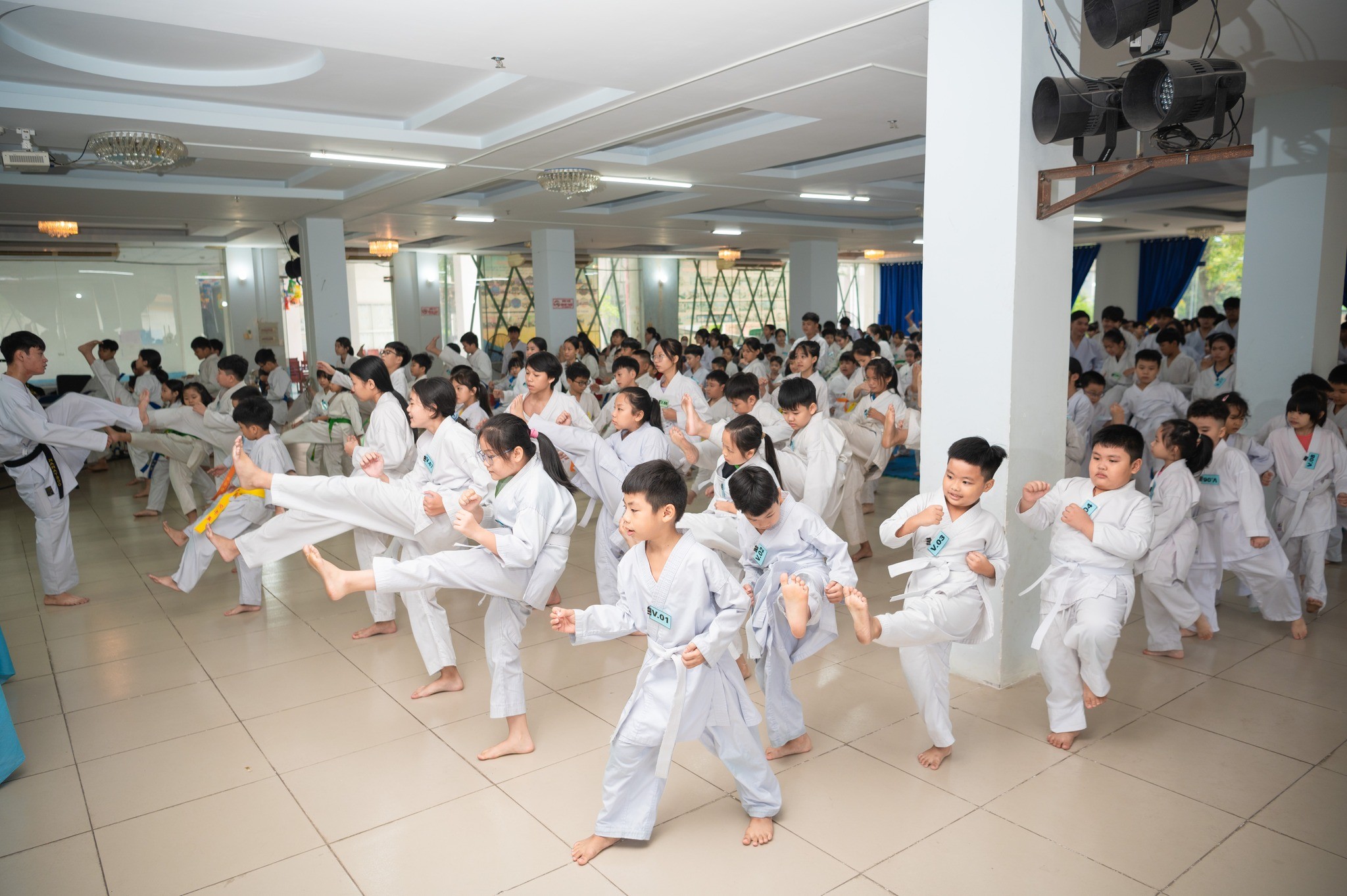 karate-1698291439.jpg