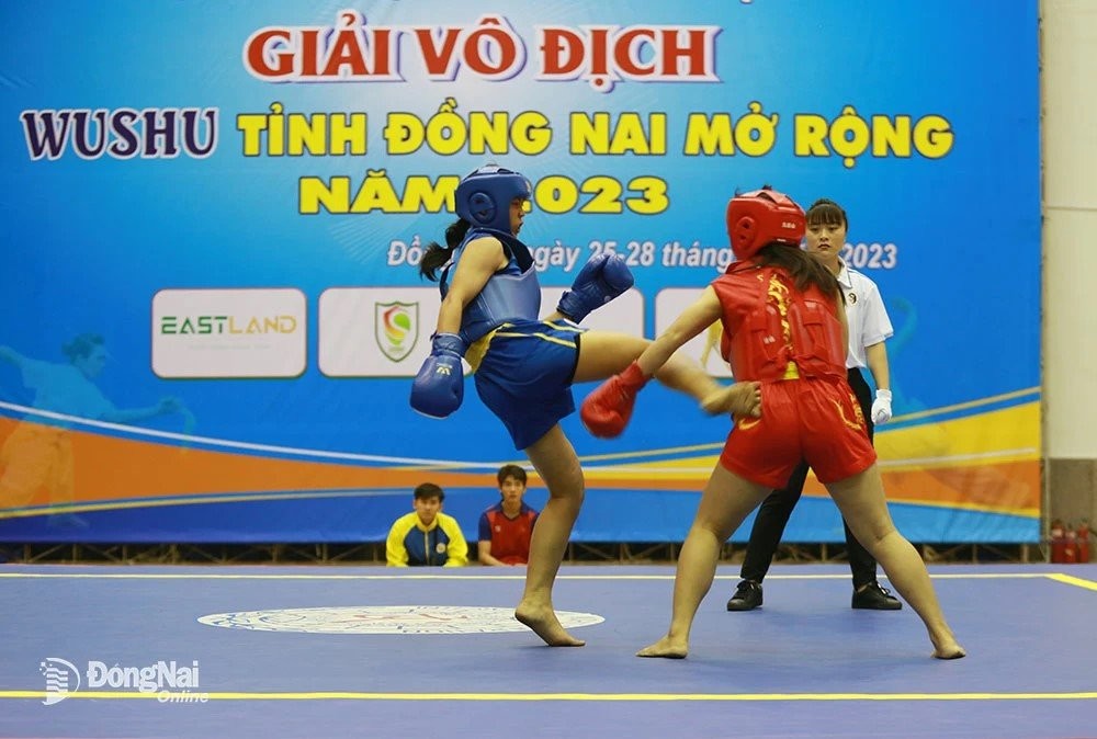 dnai-1703658517.jpg