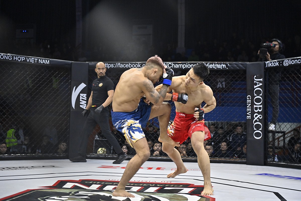 mma-1-1734226025.jpg