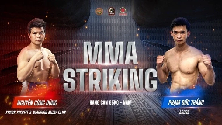 mma-1-1746807472.webp