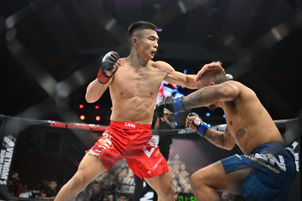 mma-3-1747666309.jpg