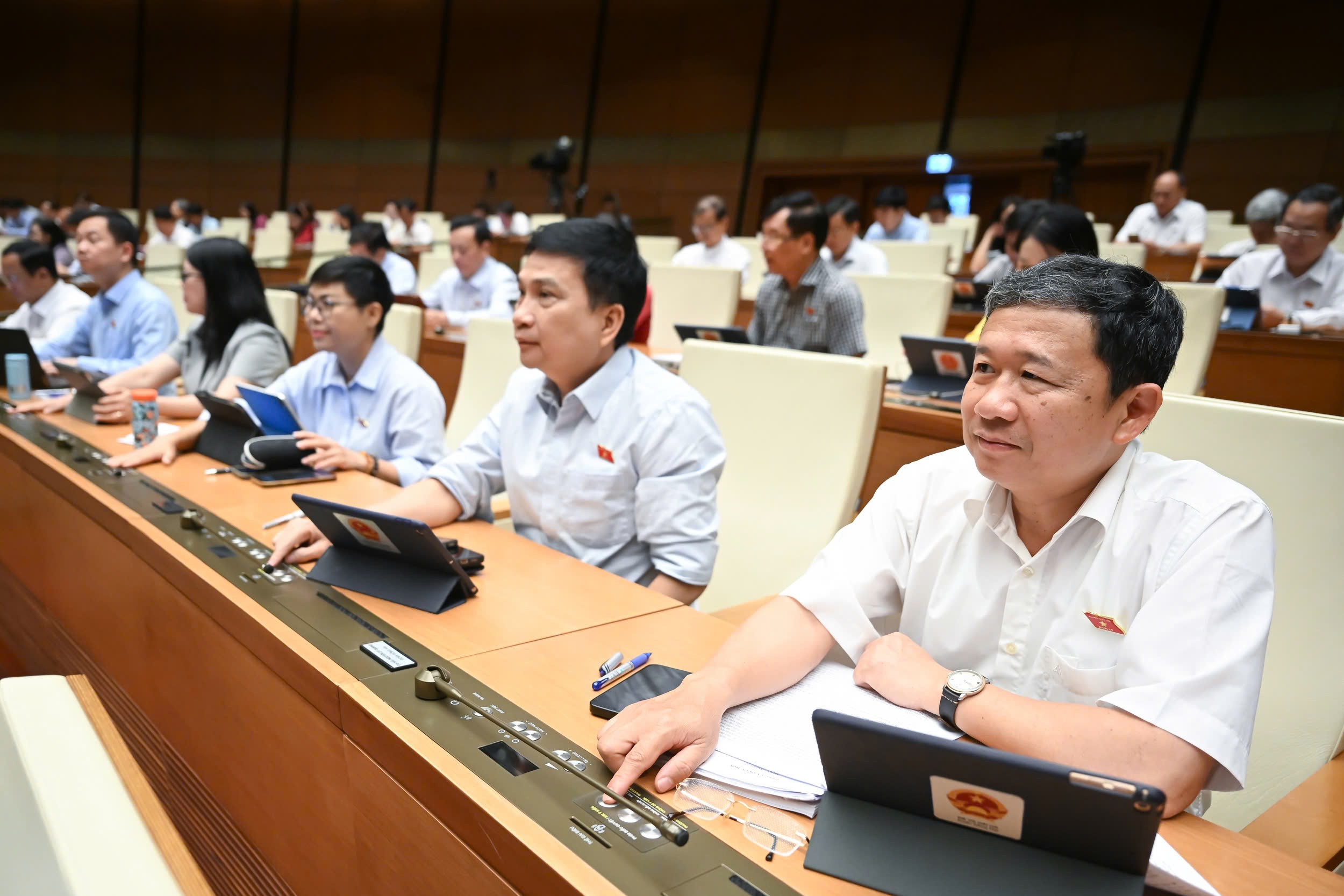 bieu-quyet-thong-qua-luat-to-chuc-1750062463.jpg