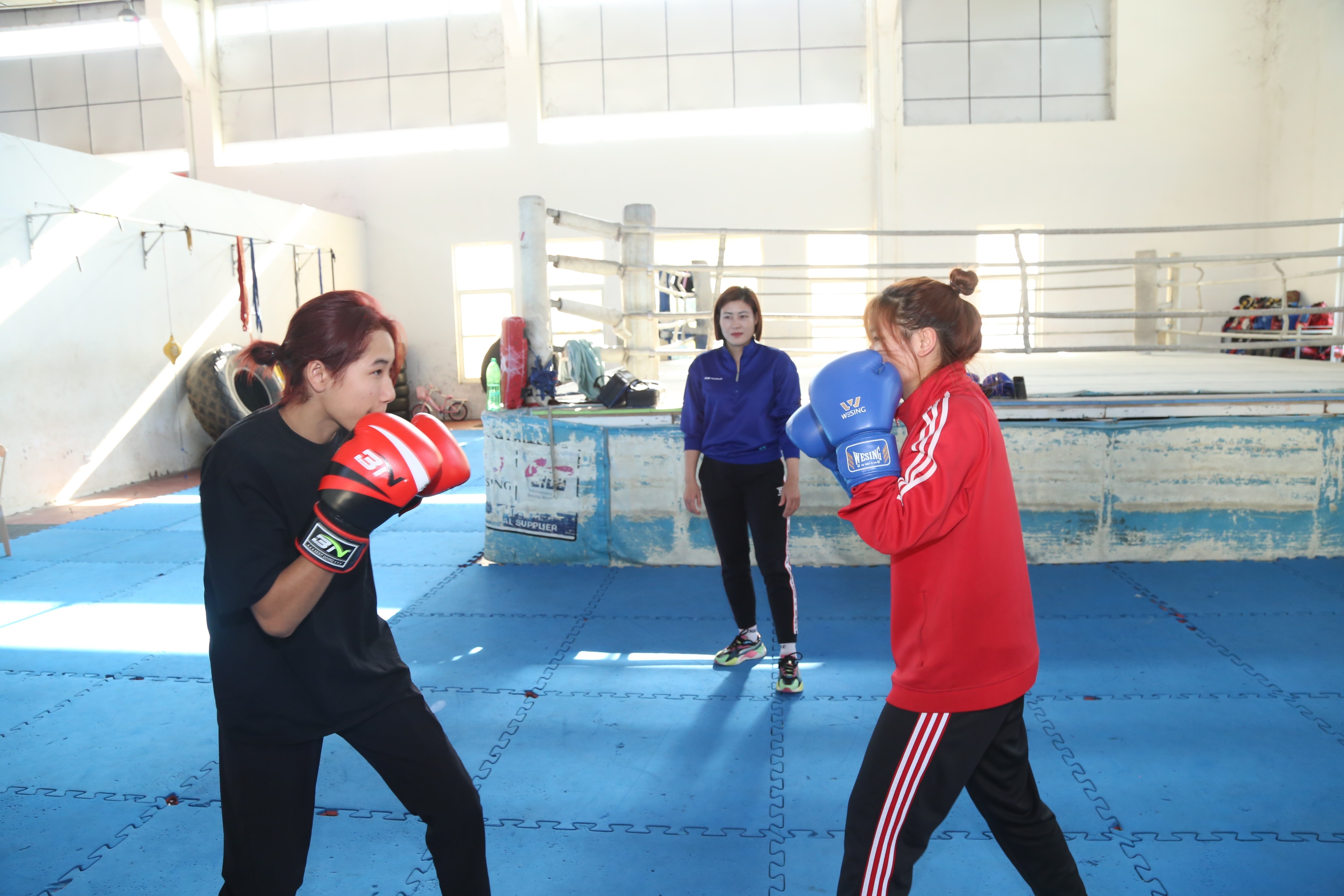 boxing-lao-cai-1752220735.jpg