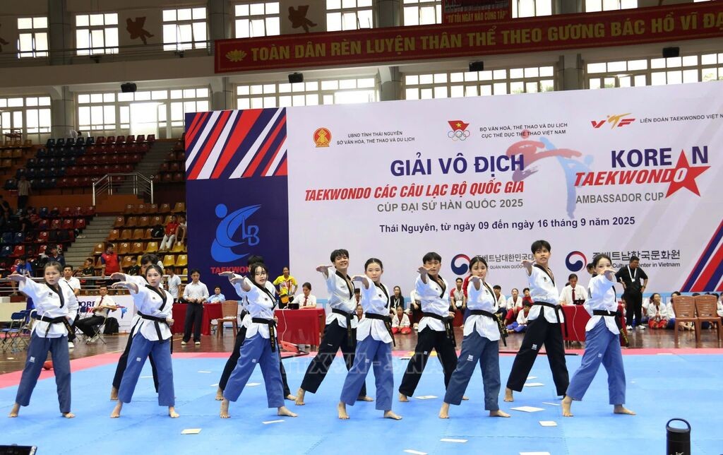 tk-2-1758111020.jpg