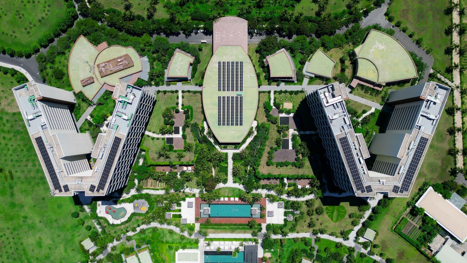 dji-0081-1759207227.jpg