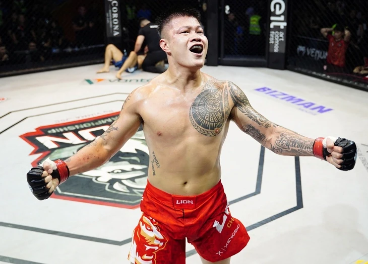 mma-4-1760224449.webp