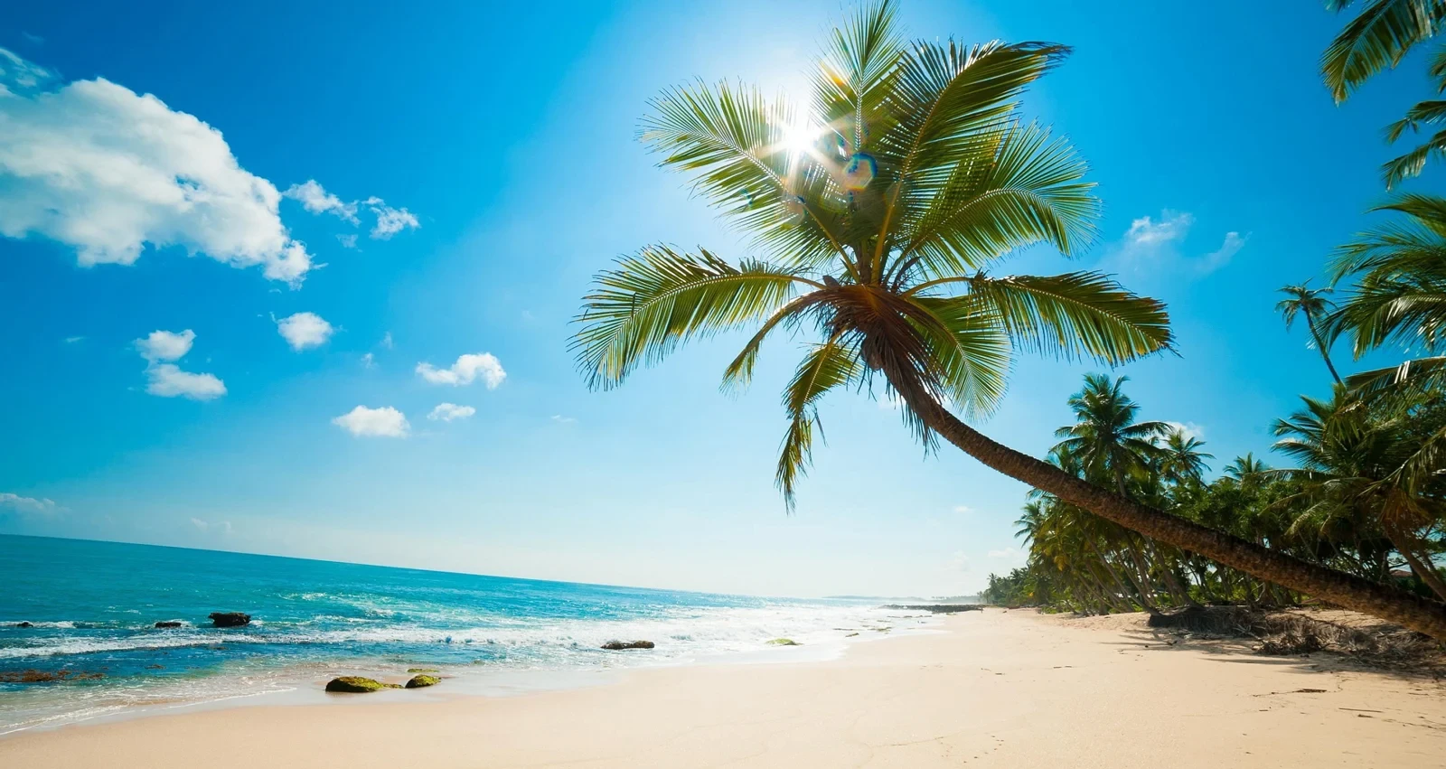phu-quoc-1765766649.webp