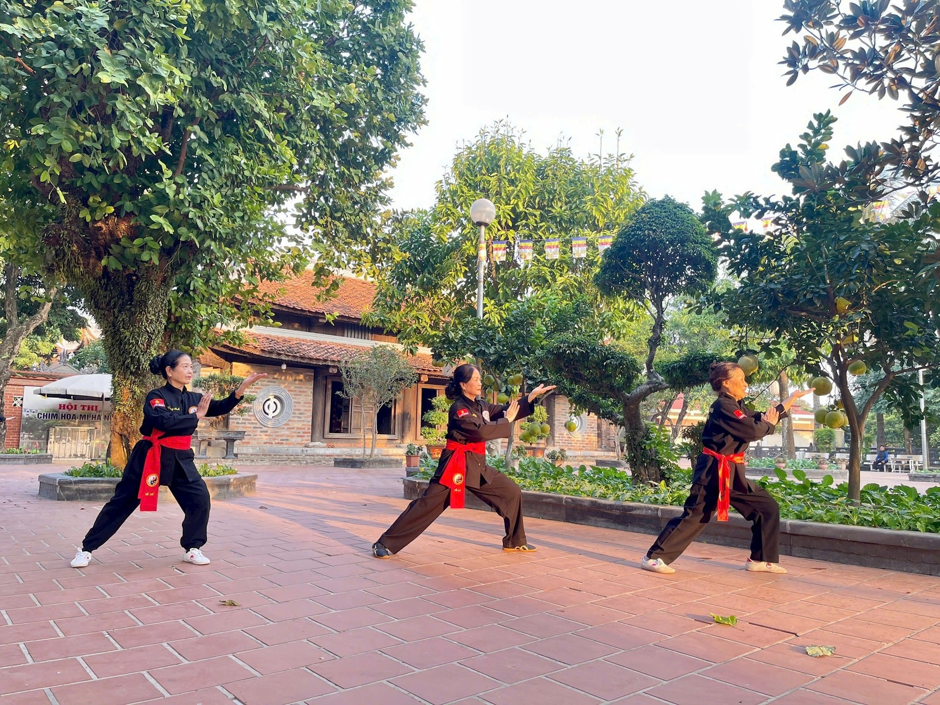 anh-2-vo-ngua-1771723865.jpg