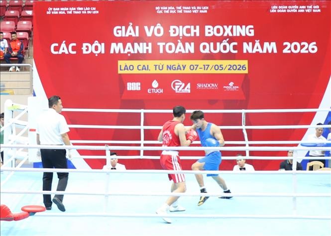 boxing-1-1778421975.jpg