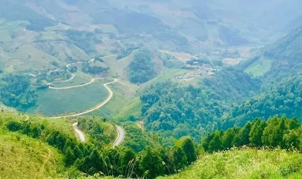 cung-duong-1778568364.webp
