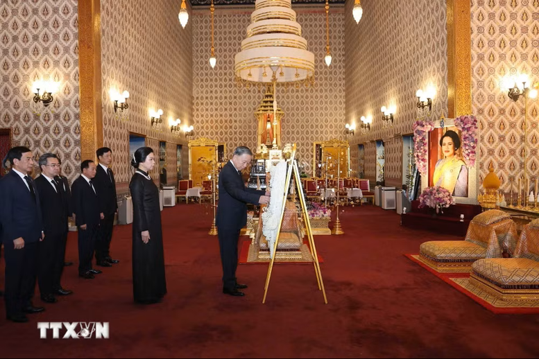 dat-vong-hoa-1780022232.png