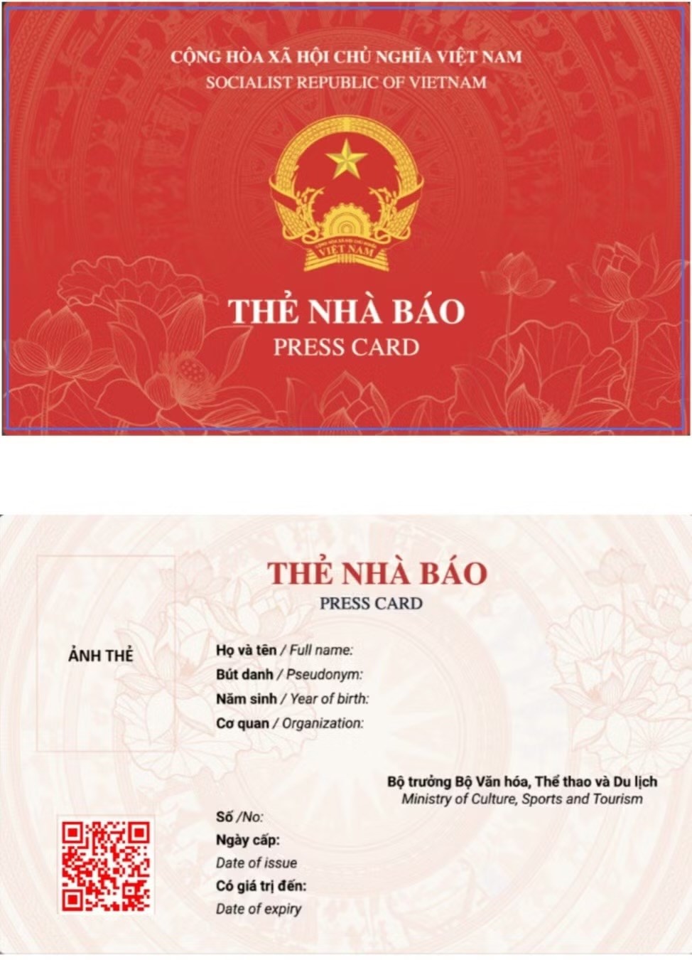 mau-the-nha-bao-moi-1780286643.jpeg