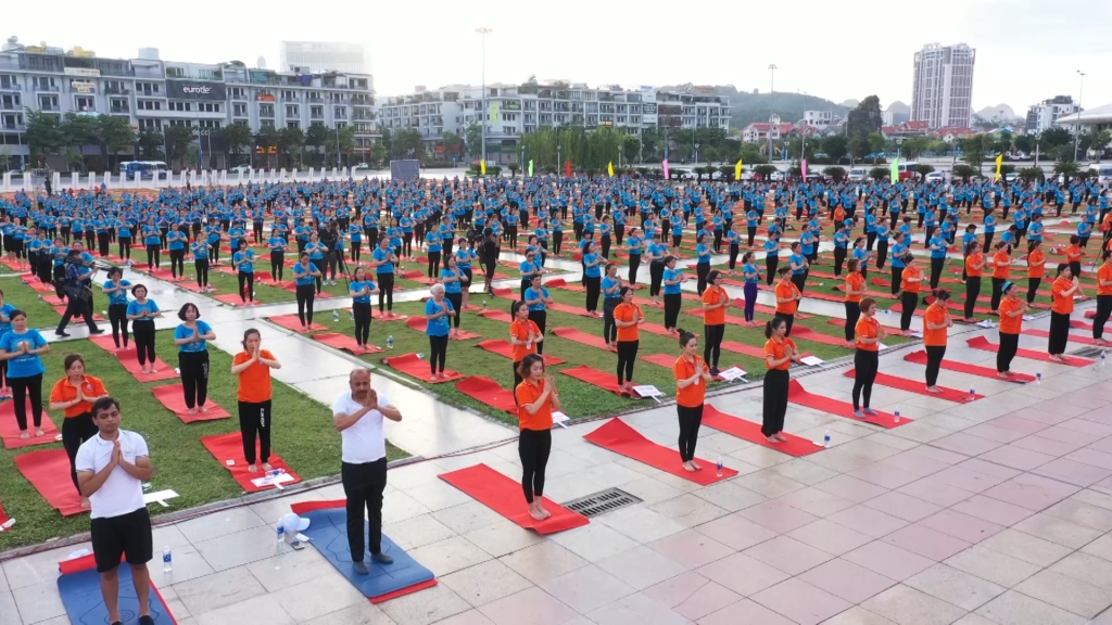 qninh-1780558285.png