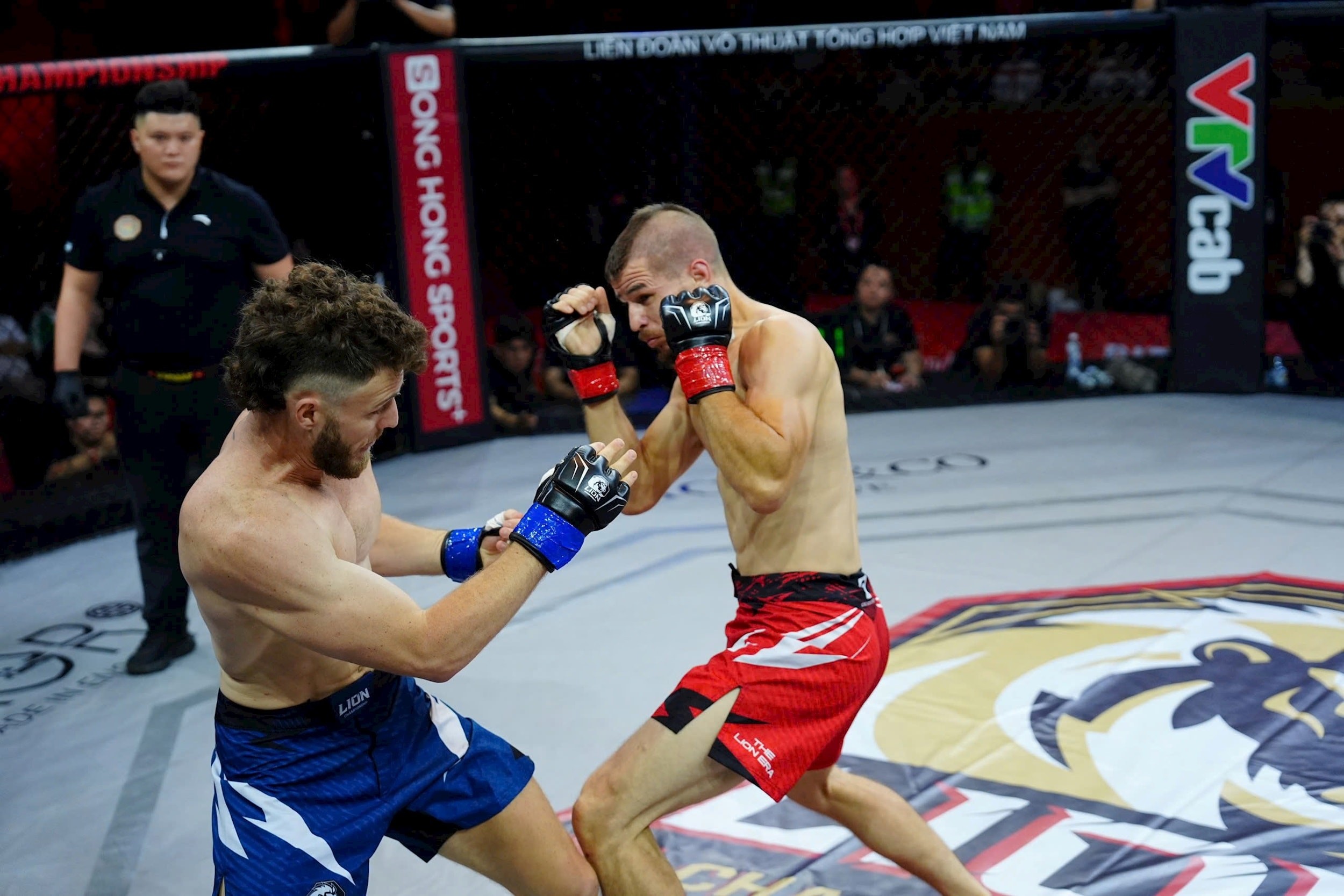 mma-2-1780806494.jpg