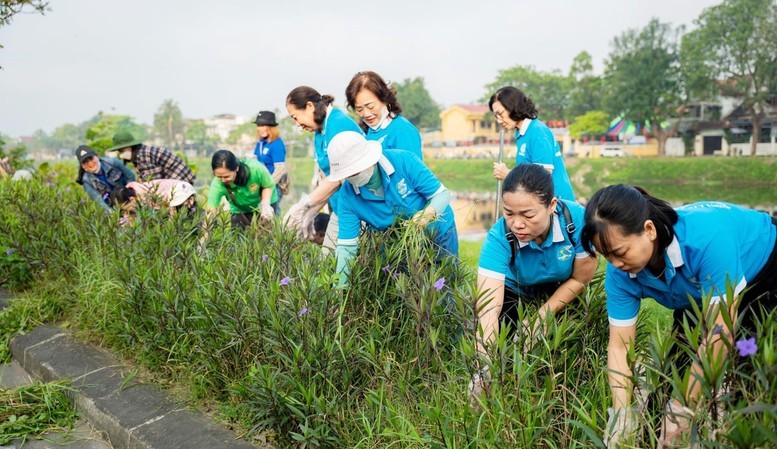 ngay-xanh-1781579197.jpg