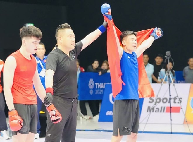 mma-2-1783344621.jpg
