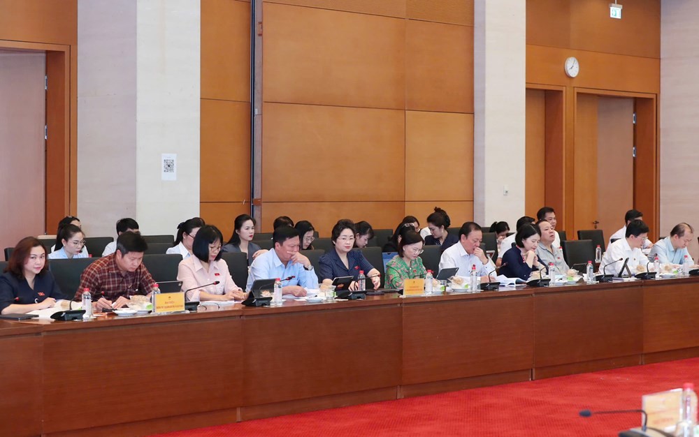 cac-dai-bieu-1785472082.jpg