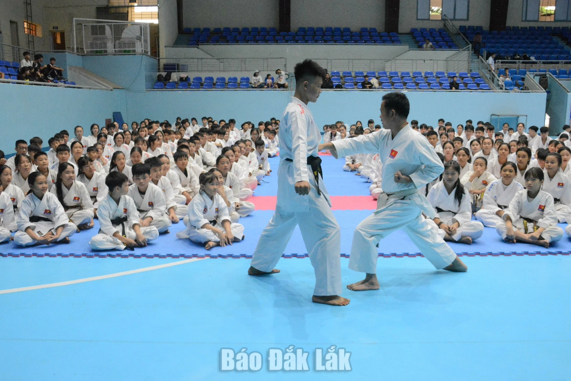 dl-1786592226.webp
