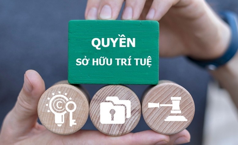 so-huu-tri-tue-1787631204.jpg