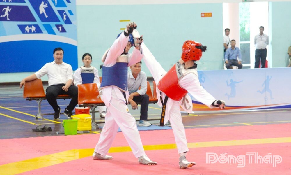 wm-7-pct-7421-481-1788755360.jpg