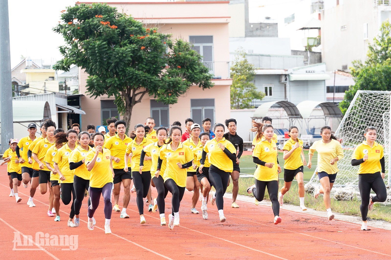 lth01192-logo-20260911-090516-1-1789440947.jpg