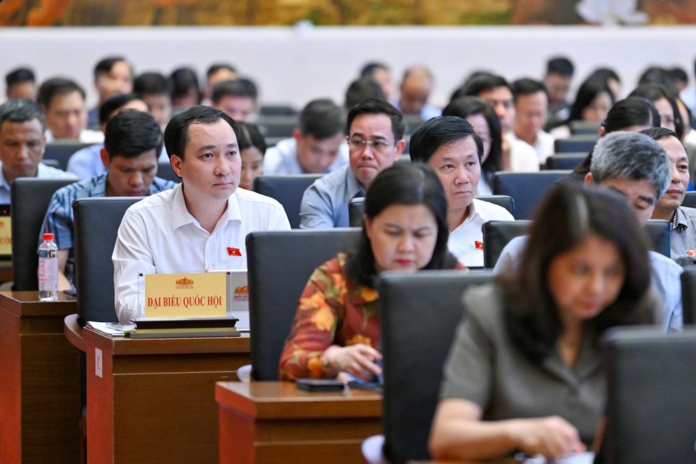cac-dai-bieu-1790737208.jpg