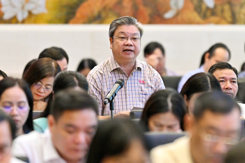 dai-bieu-dung-1790737126.jpg