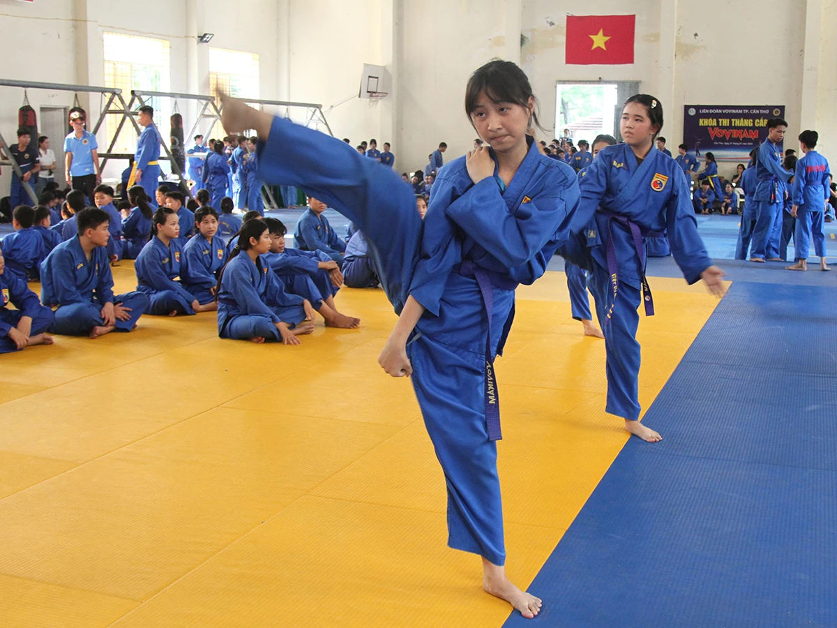 thao3103-1791353000.webp