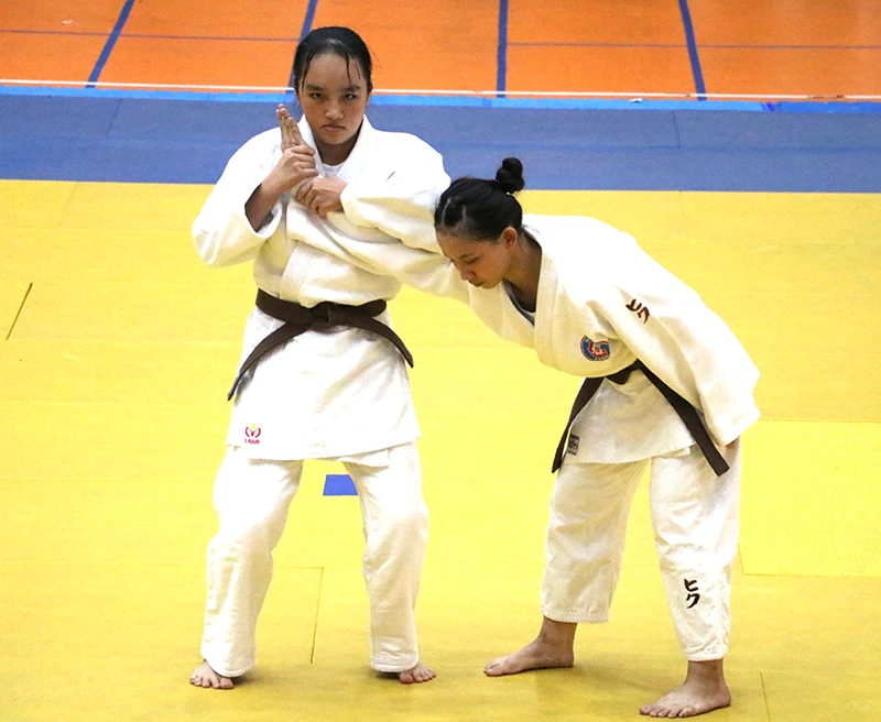 t14-1778201257.webp