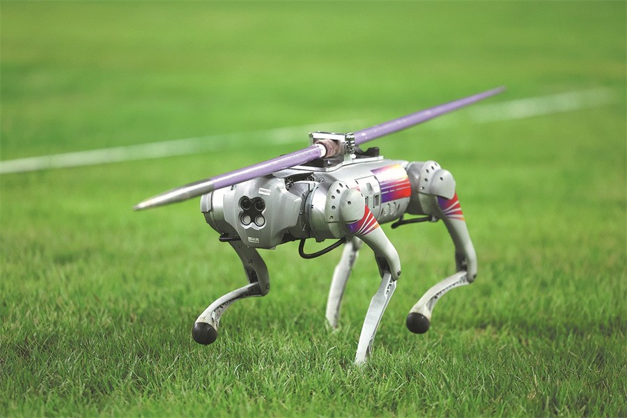 robot-dog-1696600989.png