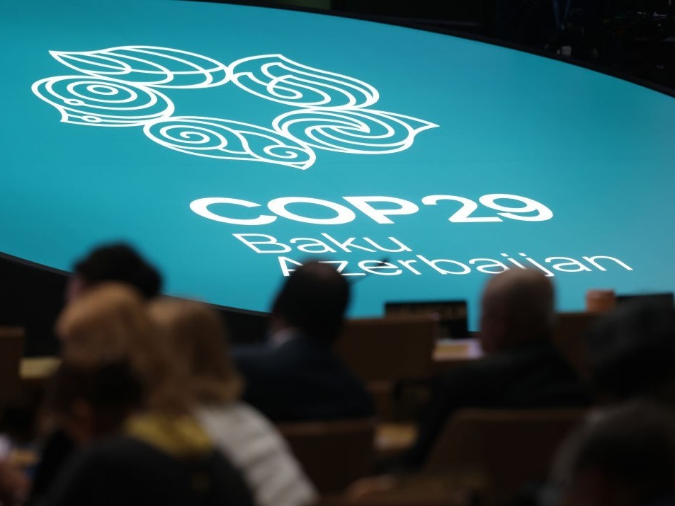 cop29-1732163842.jpg