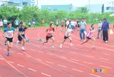 Đại hội Thể dục thể thao thành phố Đà Nẵng lần thứ X: Phường Hải Châu xếp thứ nhất toàn đoàn