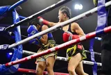 Môn Muay "mở màn" tranh tài tại Đại hội Thể thao toàn quốc lần thứ X năm 2026