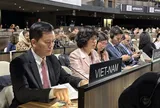 Thúc đẩy hợp tác đa phương và gắn kết với các lĩnh vực hợp tác chuyên môn của UNESCO