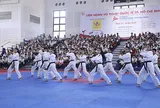 Bạn Nam Cường - ở Quảng Bình hỏi: Xin cho biết, lịch sử hình thành và phát triển môn võ Taekwondo?