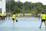 Bạn Hồng Linh - ở Bắc Kạn hỏi: Xin cho biết, pickleball là môn thể thao gì, nó có nguồn gốc từ đâu và cách chơi thế nào?