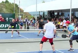 Giải vô địch Pickleball các lứa tuổi tỉnh Lào Cai năm 2025