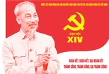 Tổ chức triển lãm. tuần phim chào mừng Đại hội đại biểu toàn quốc lần thứ XIV của Đảng