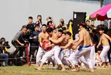 Nét đẹp văn hóa qua lễ hội Vật cầu làng Thúy Lĩnh 