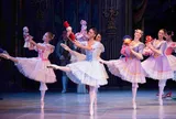 Nhà hát ballet Nga biểu diễn hai kiệt tác kinh điển tại Hà Nội