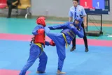 300 vận động viên so tài tại Giải vô địch Vovinam đội mạnh quốc gia 2026